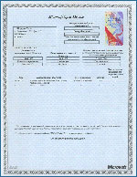 Лицензия центра Успех для Microsoft Office XP
